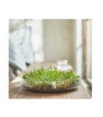خوشبوکننده ایکیا مدل 205 بسته 2 عددی | فروشگاه اینترنتی پخش کالای مرکزی