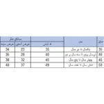 سویشرت پسرانه بچه زنبور مدل 2-A961| فروشگاه اینترنتی پخش کالای مرکزی