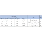 ست هودی و شلوار پسرانه بچه زنبور مدل 3-Y731|فروشگاه اینترنتی پخش کالای مرکزی