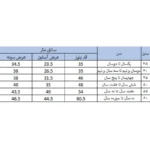 سویشرت پسرانه بچه زنبور مدل G829-31|فروشگاه اینترنتی پخش کالای مرکزی