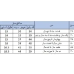 تی شرت آستین کوتاه بچگانه بچه زنبور مدل C936-8|فروشگاه اینترنتی پخش کالای مرکزی